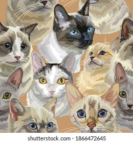 Patrón veloz con gatos realistas que engendran retratos. Fondo colorido con cabezas de gatos para crear textiles, papel pintado, papel, invitación a la boda, diseño, impresión, lino. Ilustración vectorial