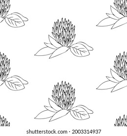 Vector seamless pattern Red clover shamrock wild field flower hand drawn ink illustration isolated on white background, graphic floral texture, line art backdrop for cosmetic, design tea, wallpaper