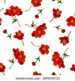 Vector seamless pattern with red flowers on white. Modern floral pattern for textile, wallpaper, print, gift wrap, greeting or wedding background. Spring or summer design.