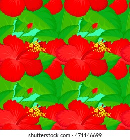 Vector seamless pattern of red hibiscus and green leaf on background. Hand drawn. Seamless floral background.