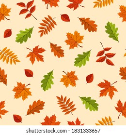 Vector seamless pattern with red, orange, brown and green autumn leaves on a yellow background.