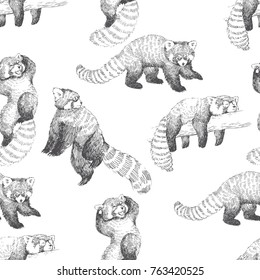 Vector seamless pattern with red pandas in sketch style. Hand drawn illustration with cute wild animals isolated on white