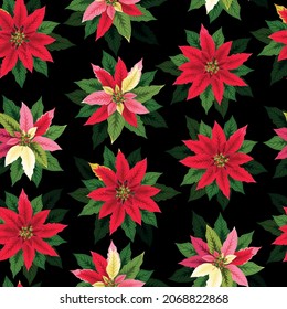 Vektornahtloses Muster mit roter Poinsettienblume