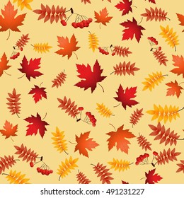 Vector seamless pattern with red and yellow autumn leaves,