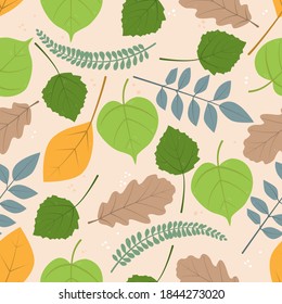 Vector seamless pattern, repeating stamp of stylized leaves of various trees and plants - oak, linden, birch, pecan. Illustration for flat design.