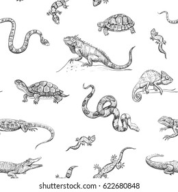 Vector seamless pattern of a reptile. Isolated exotic animals on white background. 