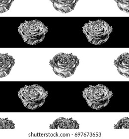 Vector seamless pattern with rose flower and black stripes. Graphic drawing, pointillism technique. Botanical natural collection. Black and white floral illustration