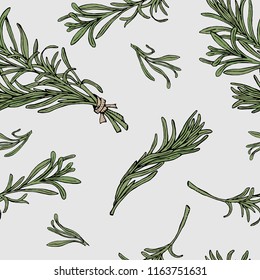 Vector seamless  pattern with rosemary hand drawn branches.