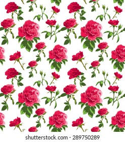 vector seamless pattern with  roses