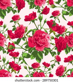 vector seamless pattern with  roses