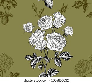 Vector seamless pattern with roses .
Vintage style.Hand drawing art.
