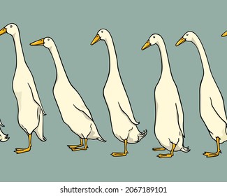 Vector seamless pattern with a row of hand drawn cute white Indian Runner ducks. Ink drawing, beautiful farm products design elements. Perfect for prints and patterns svg