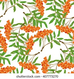 Vector seamless pattern with rowan berry