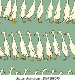 Vector seamless pattern with rows of hand drawn cute white Indian Runner ducks. Ink drawing, beautiful farm products design elements. Perfect for prints and patterns svg