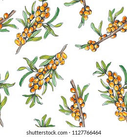 Vector seamless pattern with sea buckthorn isolated on white. Hand drawn botanical texture with berries in sketch style. Floral background