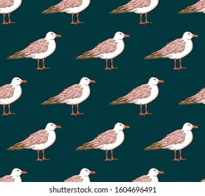 Vector seamless pattern with seagulls