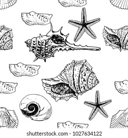 vector of seamless pattern with seashell.Hand drawing balck and white graphic.