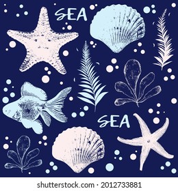 vector seamless pattern seashells stars and fish