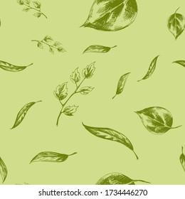 Vector seamless pattern with several hatched leaf sprigs on a green pastel background. Graphic artwork with imitation of ink or pen. Picture for packaging design 