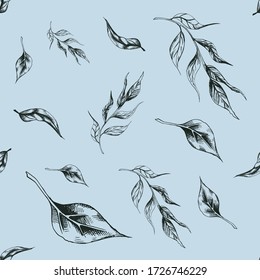 Vector seamless pattern with several sprigs of tea tree on a blue pastel background. Graphic artwork with imitation of black ink or pen. Picture for packaging design of cosmetics, medicines, textiles.
