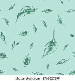 Vector seamless pattern with several sprigs of tea tree on a mint pastel background. Graphic artwork with imitation of blue ink or pen. Picture for packaging design of cosmetics, medicines, textiles.