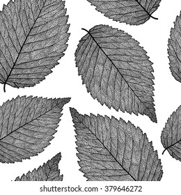 Vector seamless pattern with skeletonized elm leaves.