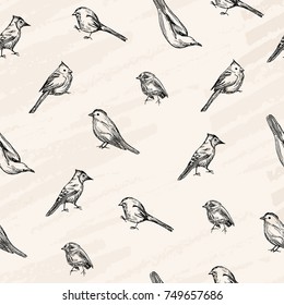 Vector seamless pattern. Vector sketch , pen style drawn birds .