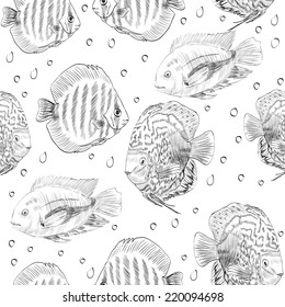 vector seamless pattern with sketches of fish