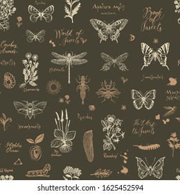 Vector seamless pattern with sketches of insects and medicinal herbs in retro style. Hand-drawn herbs, butterflies, beetles and inscriptions on the dark background. Wallpaper, wrapping paper, fabric