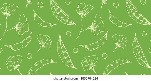 vector seamless pattern with sketches of pea pods and flowers on a green background. it can be used as Wallpaper, poster, print for clothing, fabrics, textiles, packaging paper, kitchen accessories.