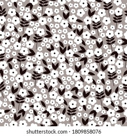 Vector seamless pattern. Small white flowers. Gray background. Elegant template for fashionable prints.