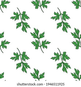 Vector seamless pattern of a sprig of fresh green Parsley with a black outline on a white background. hand drawn parsley sprig in sketch style repeating pattern on square template for packaging design