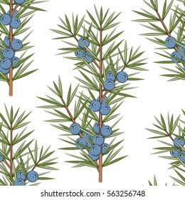 Vector Seamless Pattern With A Sprig Of Juniper. 