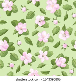 Vector seamless pattern with spring pink delicate apple blossoms with leaves on a green background, for the design of packages, covers, postcards, books, print on textiles