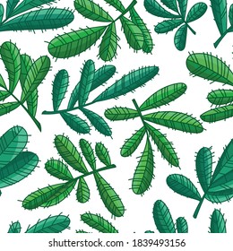 Vector seamless pattern with spruce branches. Perfect for gift wrapping paper, decoration and prints