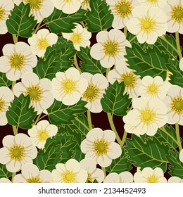 Vector seamless pattern with strawberry flowers. Gardening and spring illustration for background, textile, poster, scrapbooking, set of stickers, greeting cards, party invitations, tags.