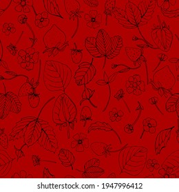Vector Seamless pattern . Strawberry, leaves , flowers.  Doodle style, lines .