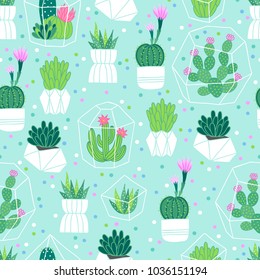 Vector seamless pattern with succulents and cactuses in pots and terrariums. Perfect for wallpaper, gift paper and summer greetings.
