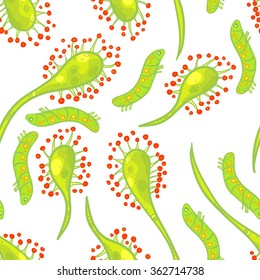 Vector seamless pattern with sundew and larva. Bright and colorful sundew pattern with green larva on black background. Beautiful plant.