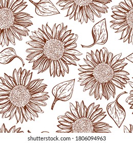 Vector seamless pattern. The sunflower is drawn by hand. Contour brown sunflowers on a white background.