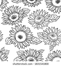 Vector seamless pattern with sunflowers. Black and white illustration