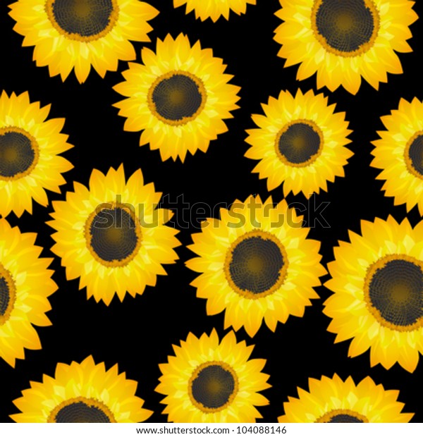 Vector Seamless Pattern Sunflowers Over Black Stock Vector (Royalty ...