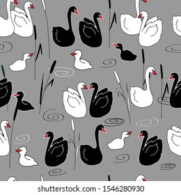 Vector seamless pattern of a swan family on a lake with reeds on a gray background.