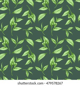 Vector seamless pattern with tea green leaves on dark green background. Hand drawn botanical illustration in vintage style for print, fabric, wrapping, web page and other seamless design.