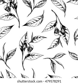 Vector seamless pattern with tea leaves. Hand drawn botanical illustration in vintage style for print, fabric, wrapping, web page and other seamless design. Black on white.