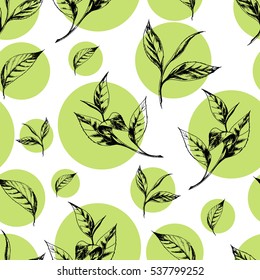 Vector seamless pattern with tea leaves in green circle on white Hand drawn botanical illustration in vintage style for print, fabric, wrapping, web page and other seamless design.