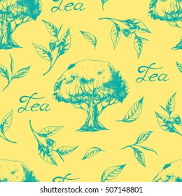 Vector seamless pattern with tea tree and tea leaves. Ink drawn herbal illustration in sketch style for print, card, wrapping, textile and other vintage design. Yellow background with herbs.