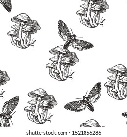 Vector seamless pattern with toadstools and death head moth in engraving style. Hand drawn texture with witching symbols isolated on white. Halloween background with mushrooms and butterflies.