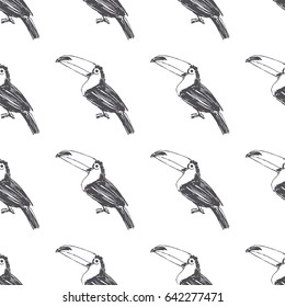 Vector seamless pattern with toucan. Hand drawn illustration of tropical bird. Summer texture in sketch style
