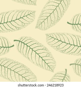 Vector seamless pattern with  transparent green  lace walnut leaves on light beige background